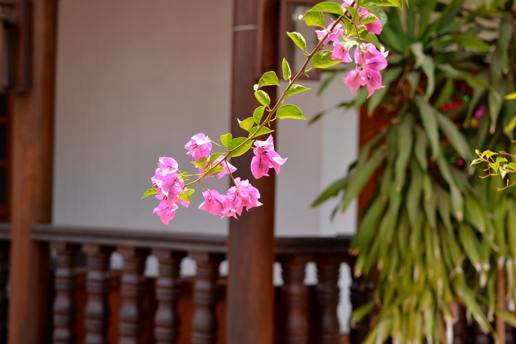 Eureka Villas Siem Reap Exterior foto